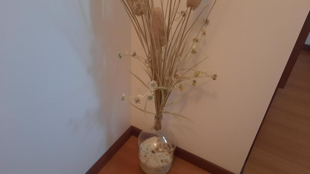 Apartamento Ana Paula House Aveiro Exterior foto